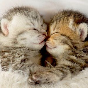 Meet your Posher, Olya